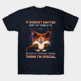 It Doesn't Matter What You Think Of Me Because My Imaginary Imaginary Friends Think I'm Special T-Shirt